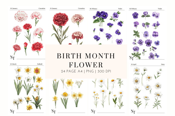 Download Birth Month Flower Clipart PNG - Flower Collection
